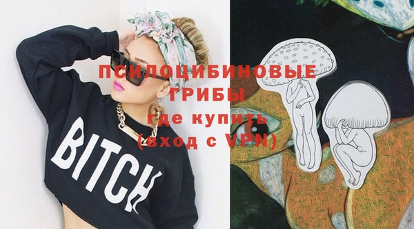 прущий лед Алексин