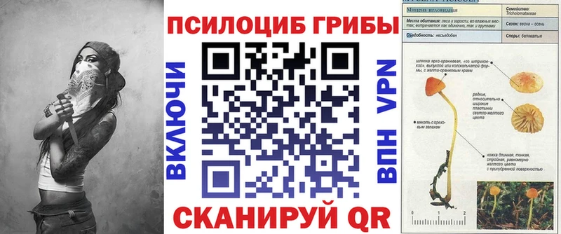 Псилоцибиновые грибы GOLDEN TEACHER  Хотьково 